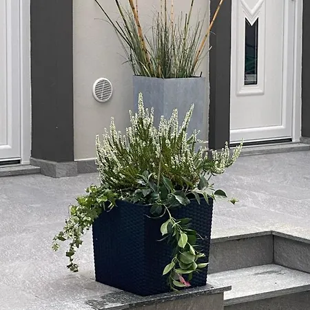 Decoluxe !apartamento Con 1 Da Letto , In Zona San Paolo , Via Martiniana Appartamento Torino