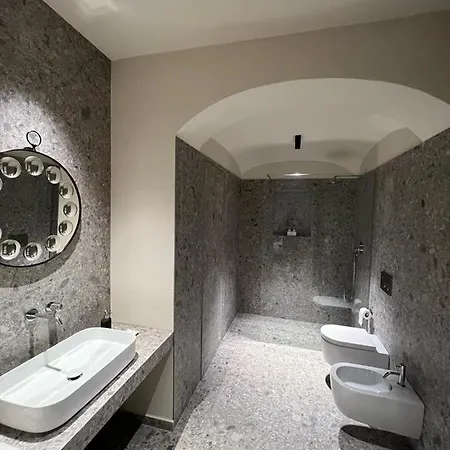 Palazzo Balbo Di Vinadio Apartment