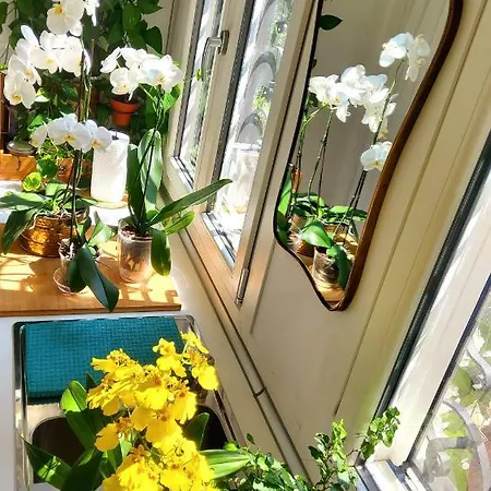 La Casa Degli Specchi Appartamento *