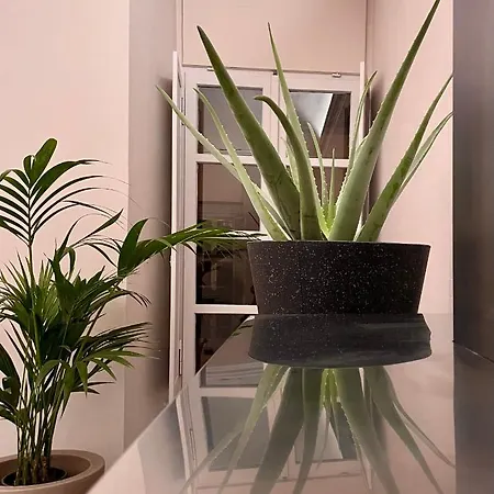 R21b&b Torinoquadrilatero Apartment