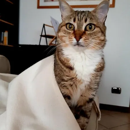 Un Buon Inizio Bed & Breakfast *