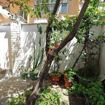 Cozy With Garden In Lingotto Area Apartment