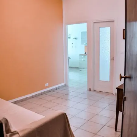 Mosca Torino