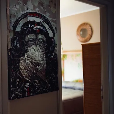 Amaca In Un Meraviglioso A Apartment