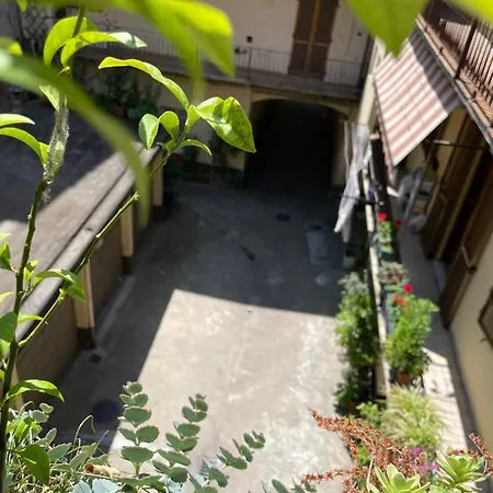 Garden House Cit * Torino