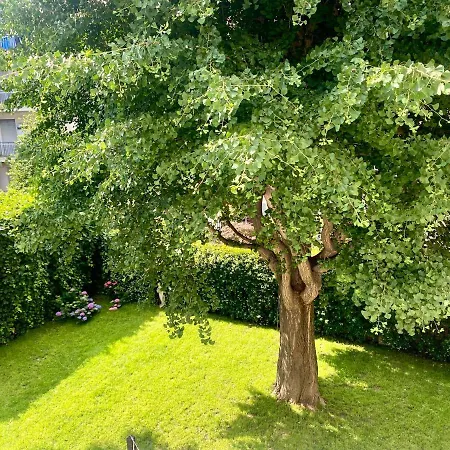 Spaziotonico Intero Pace E Relax Appartement