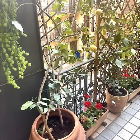 Apartment Casa Dell'inno Di Mameli