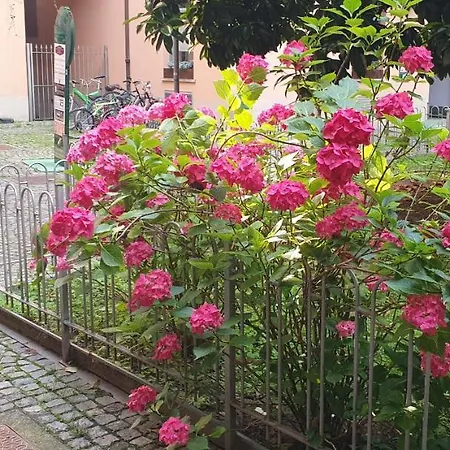 Loft Carina Ideale Per Visitare Il Centro Di Apartment Turin
