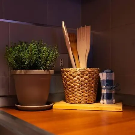 Appartamento Centro • Mole Antonelliana Ma•ma Loft Oriental