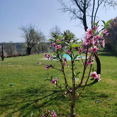 Casa Felmar 3* Incisa Scapaccino