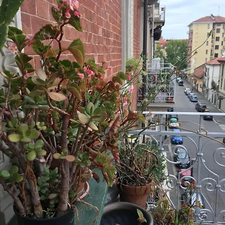 Sisters' House