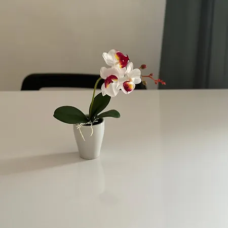 Natura In Centro Apartment Turin