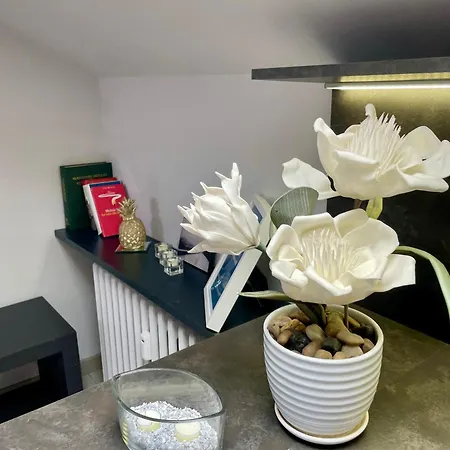 Casa Ottavio Appartamento Torino