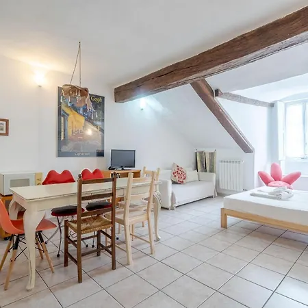 Palazzo Saluzzo Paesana Beautiful Flat Turin