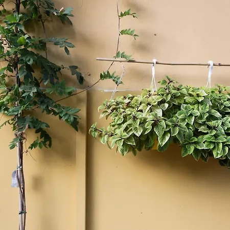 Casasassi, With Outdoor Living Space * Turin