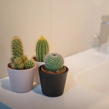 Appartamento Terrazza La Mole