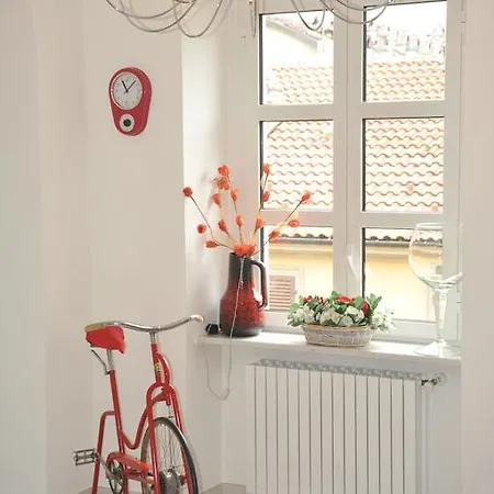 Vitaminam Torino
