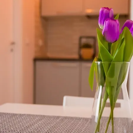 Apartment Yhome | Gulli's Palace