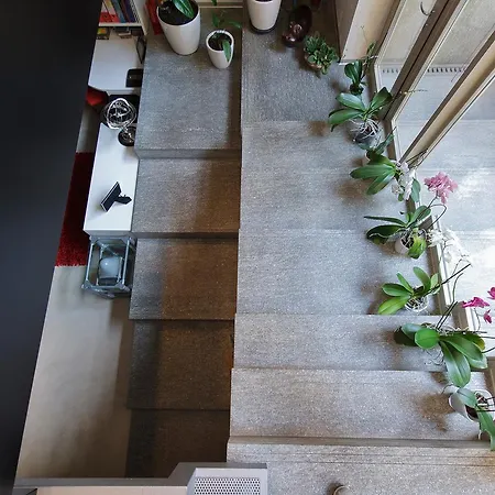Urbana Apartment