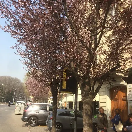 La Casa Di Arturo לינה וארוחת בוקר