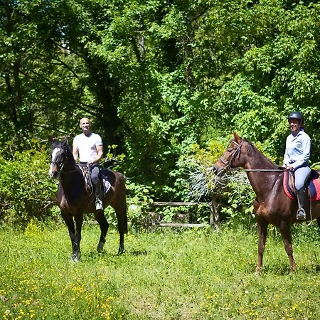 Val Salice Horses Turin