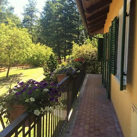 Bed & Breakfast Val Salice Horses