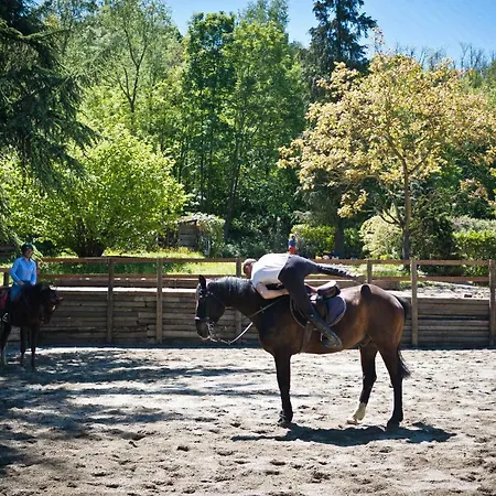 Val Salice Horses Bed & Breakfast *