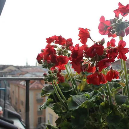 La Bagigia E La Ghianda * Torino