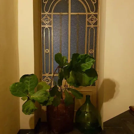 Bed & Art Bed & Breakfast Turin