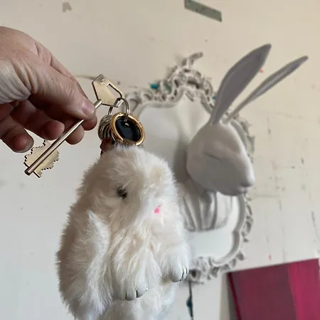 Attico White Rabbit Appartamento Torino