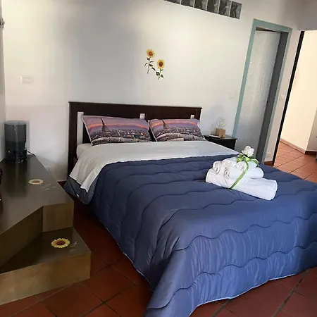 Historic Center Via Po Appartement Turin