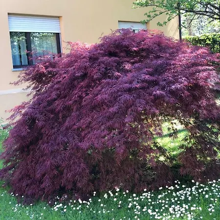 Parco Sassi Ξενοδοχείο