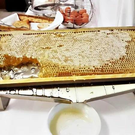 Gran Отель