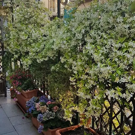 Pensión La Terrazza San Salvario