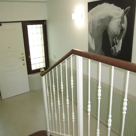Apartment Casa Zara