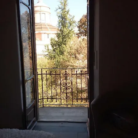 Magnolia