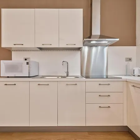 Corso Vittorio Central Duplex Apartment Turin
