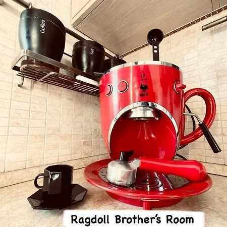 Ragdoll Brother'S Room Homestay *