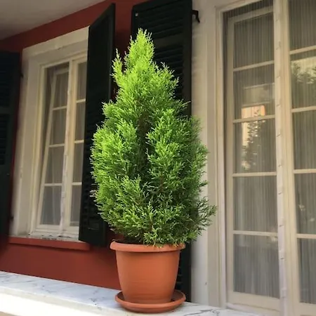 Apartment At 128 : Little Garden In The *