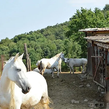 מלון Cascina Scola