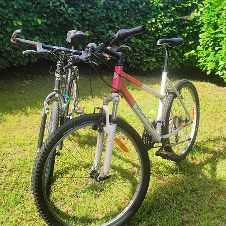Cosycasa & Free Bike 都灵
