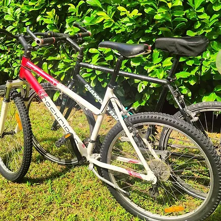 Cosycasa & Free Bike 公寓