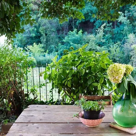 Casasassi, With Outdoor Living Space Appartamento *