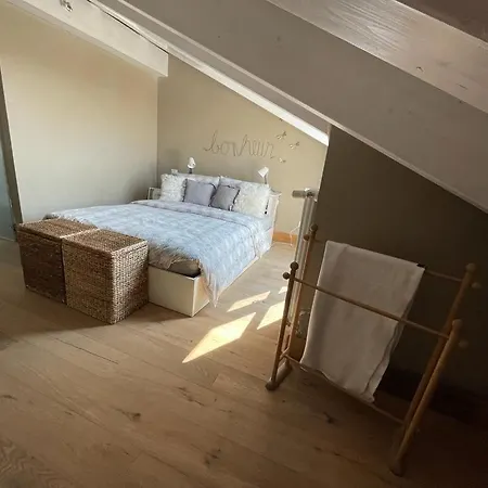 Charming Penthouse In Turín