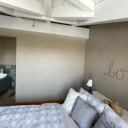 Charming Penthouse In Turín