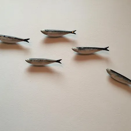 Sardinha Loft Apartamento