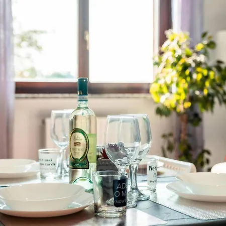Parco Dora Terrazza Relax Apartment Turin