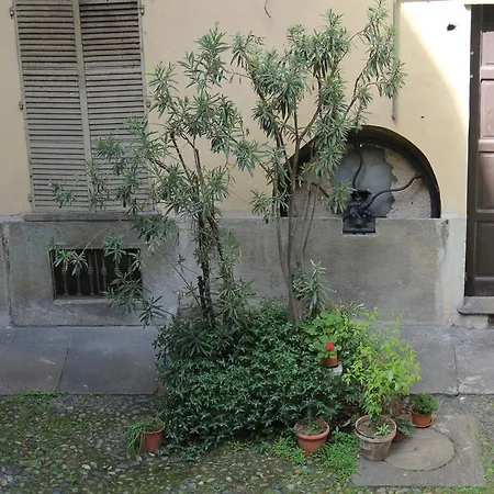 Silva Luxury Turin